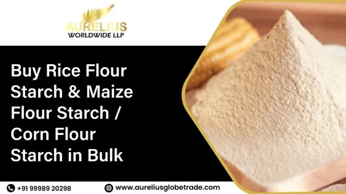 Buy Rice Flour Starch &amp; Maize Flour Starch / Corn Flour Starch in Bulk