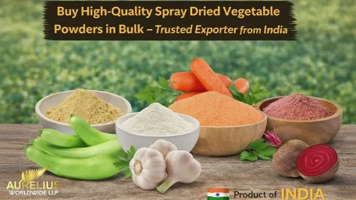 Buy High-Quality Spray Dried Vegetable Powders in Bulk – Trusted Exporter from India