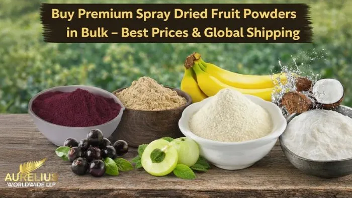 Buy Premium Spray Dried Fruit Powders in Bulk – Best Prices & Global Shipping