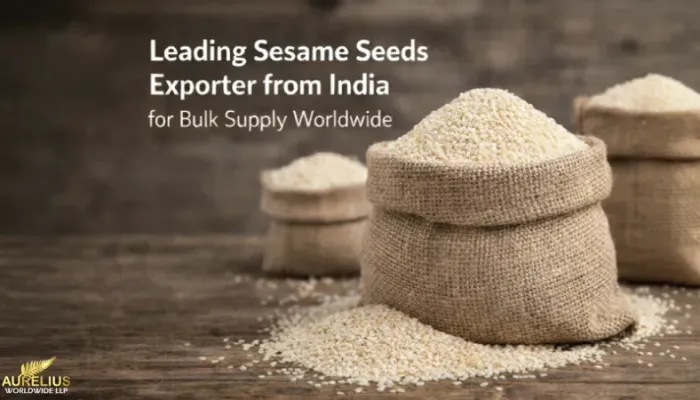 Leading Sesame Seeds Exporter from India for Bulk Supply Worldwide