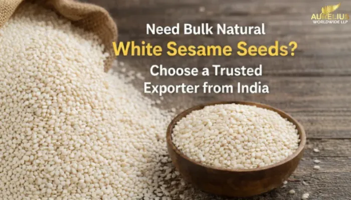 Need Bulk Natural White Sesame Seeds? Choose a Trusted Exporter from India