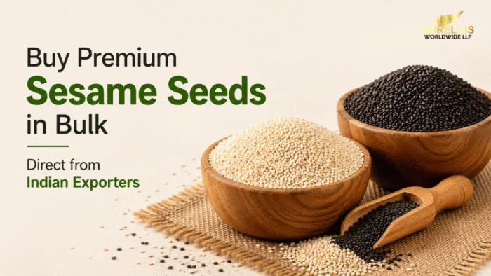 Buy Premium Sesame Seeds in Bulk Direct from Indian Exporters