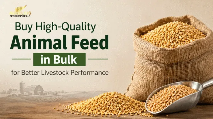 Buy High-Quality Animal Feed in Bulk for Better Livestock Performance