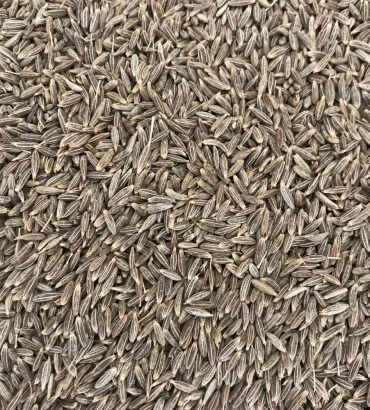 Cumin Seeds