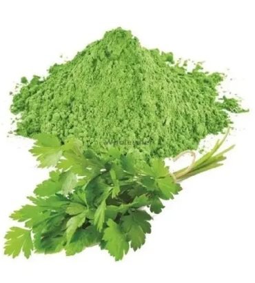 Dehydrated Coriander Leaves Powder