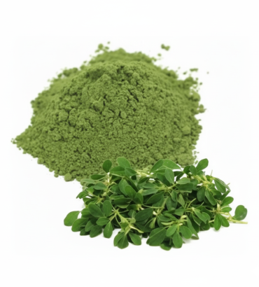 Dehydrated Fenugreek Leaves Powder