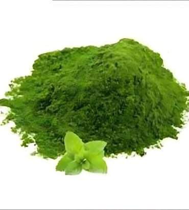 Dehydrated Mint Powder