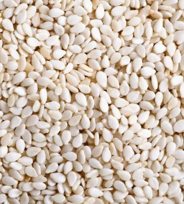 Natural White Sesame Seeds