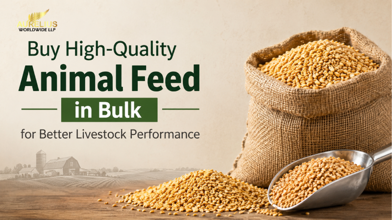 Buy High-Quality Animal Feed in Bulk for Better Livestock Performance
