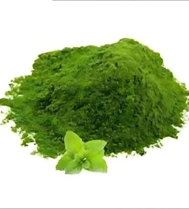 Dehydrated Mint Powder