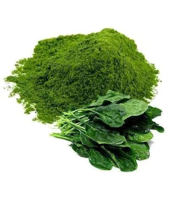Dehydrated Spinach Powder