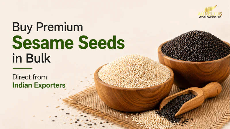 Buy Premium Sesame Seeds in Bulk Direct from Indian Exporters
