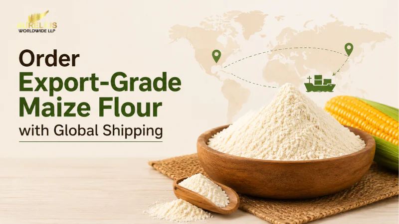 Order Export-Grade Maize Flour with Global Shipping
